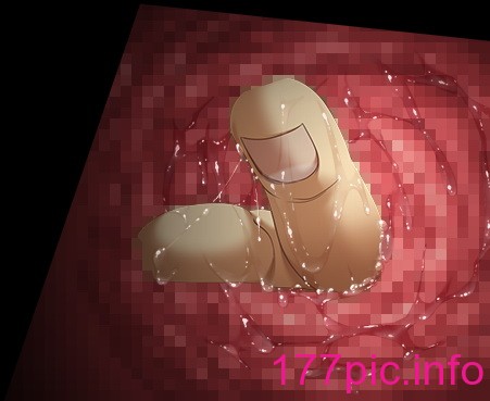 2619